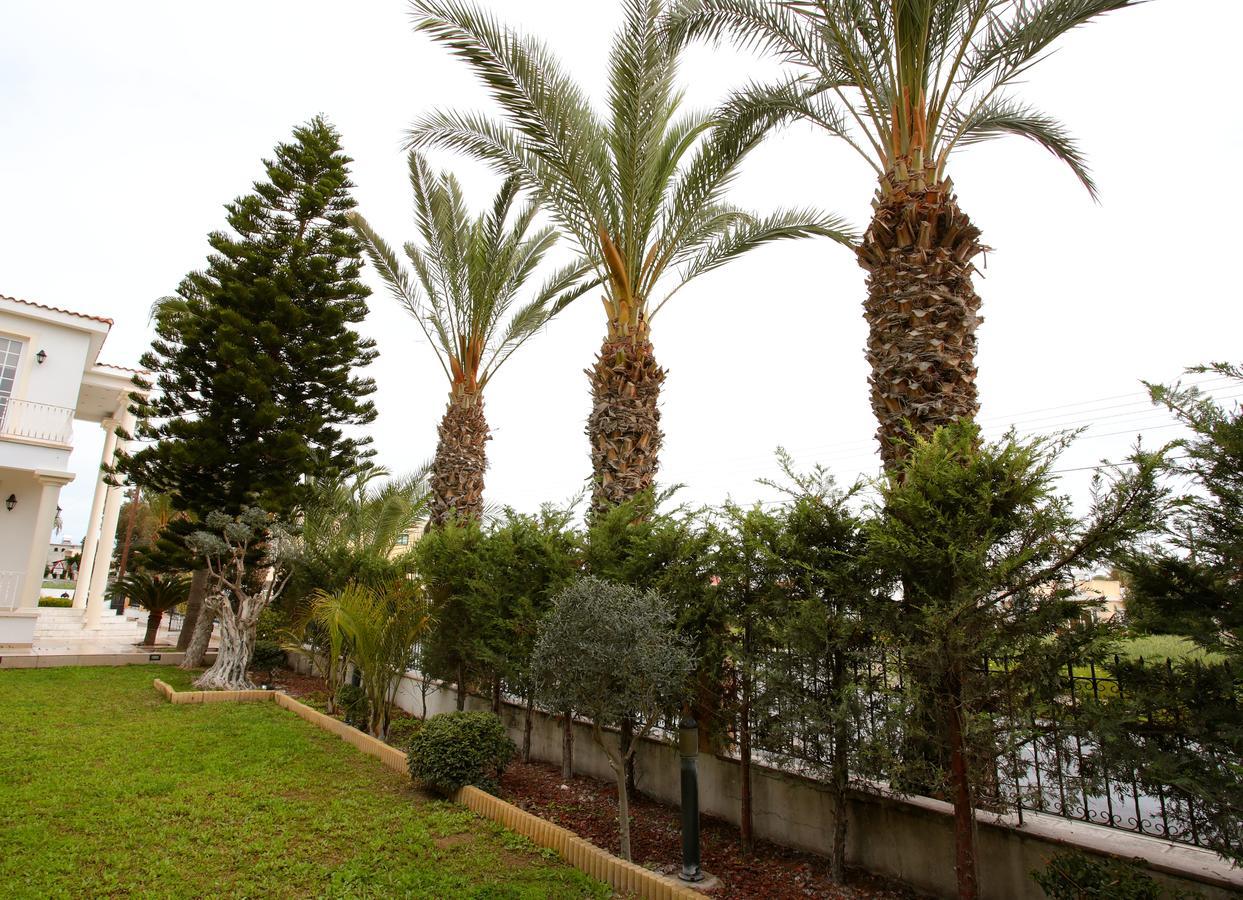 The White House Villa Larnaca Bagian luar foto